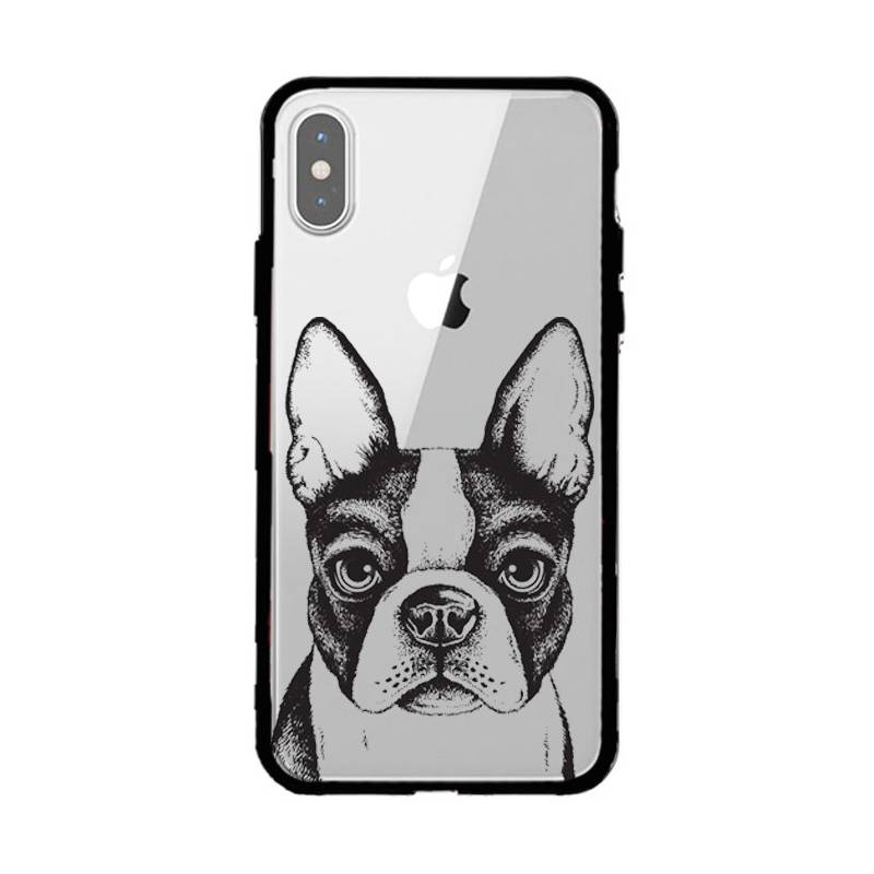 Coque transparente magnetique Apple Iphone X / XS Bull dog