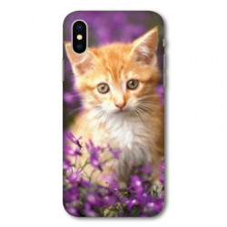 Coque pour Samsung Galaxy A01 Chat Violet