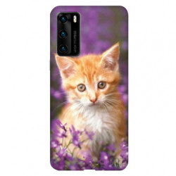 Coque pour Huawei P40 PRO Chat Violet