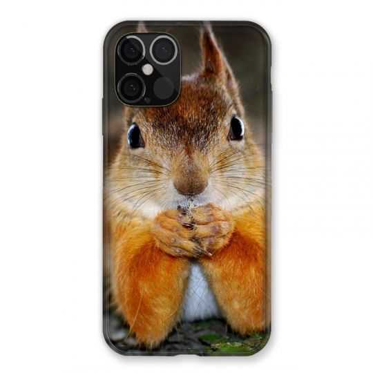 Coque Pour Iphone 12 / 12 Pro Ecureuil Face
