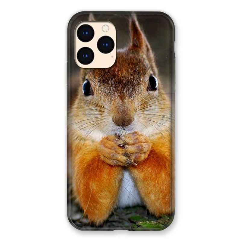 Coque Pour Iphone Iphone 12 Mini Ecureuil Face