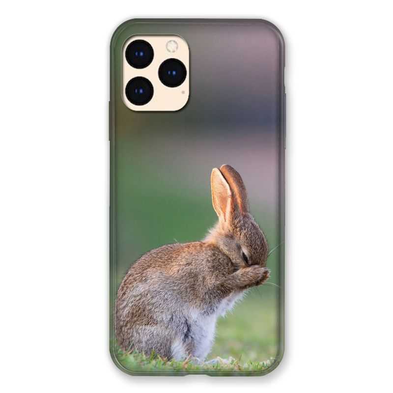 Coque Pour Iphone Iphone 12 Mini Lapin Marron