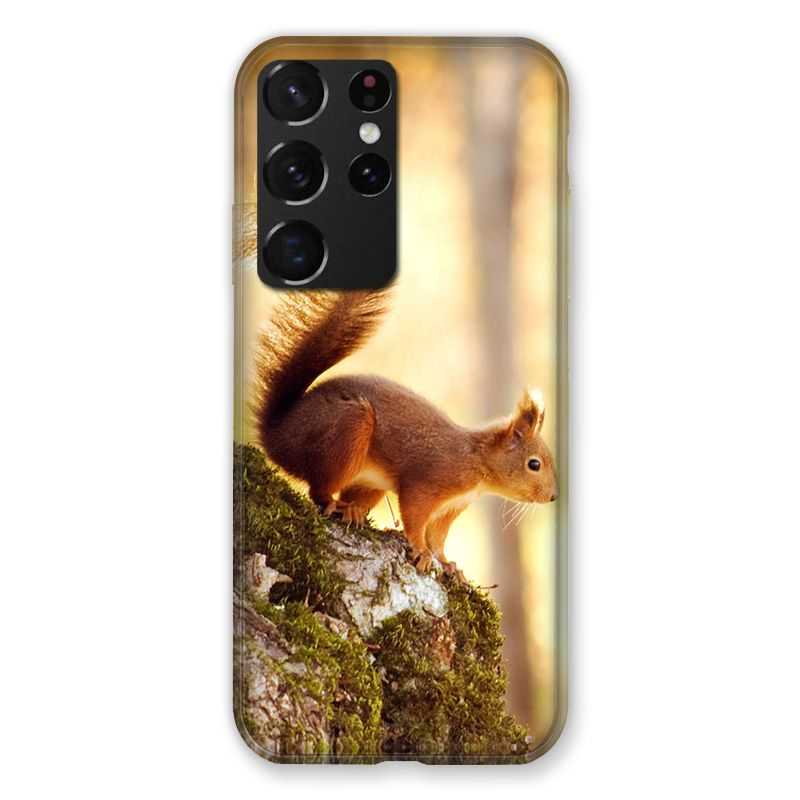 Coque Pour Samsung Galaxy S21 Ultra Ecureuil Bois