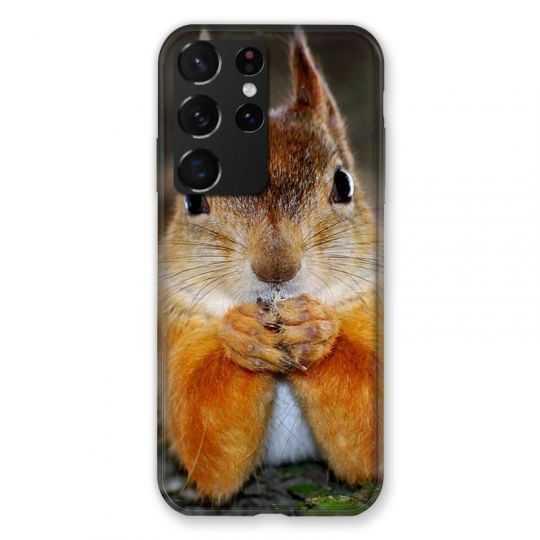 Coque Pour Samsung Galaxy S21 Ultra Ecureuil Face