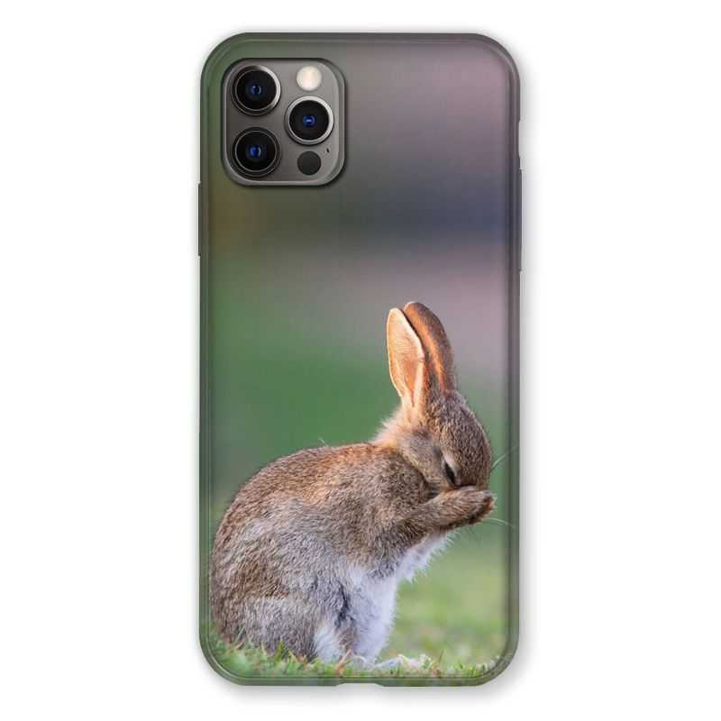 Coque Pour Iphone 13 (6.1) Lapin Marron