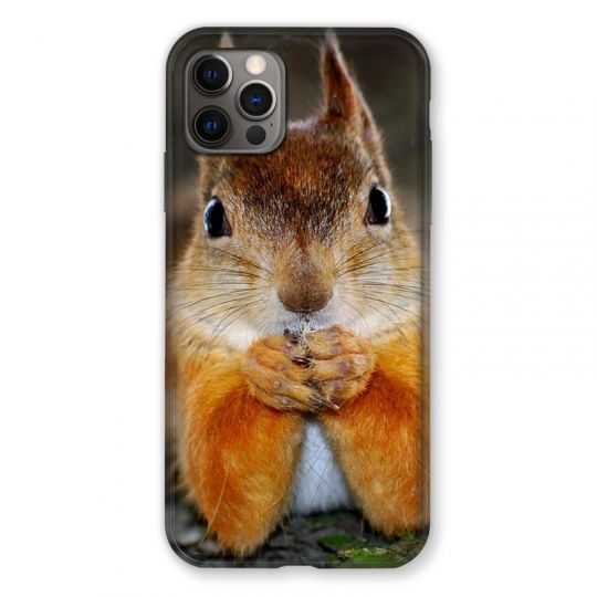 Coque Pour Iphone 13 PRO Ecureuil Face