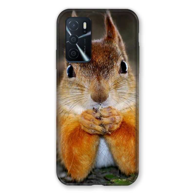 Coque Pour Oppo A16 / A16S Ecureuil Face