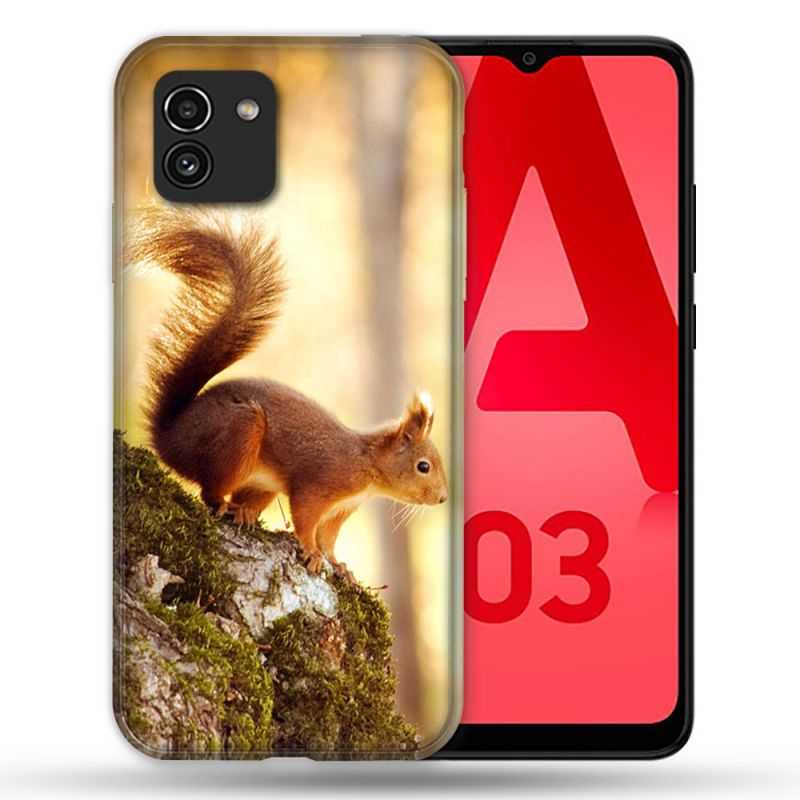Coque Pour Samsung Galaxy A03 Animal Ecureuil Bois