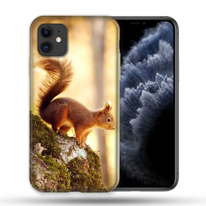 Coque Compatible Magsafe Pour Apple Iphone 11 (6,1) Animal Ecureuil Bois