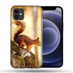 Coque Compatible Magsafe Pour Apple Iphone 12 / 12 Pro Animal Ecureuil Bois