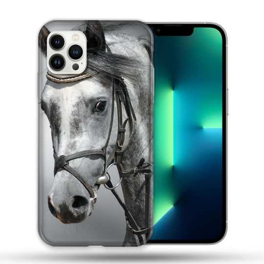 Coque Compatible Magsafe Pour Apple Iphone 13 PRO Animal Cheval Blanc