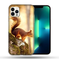 Coque Compatible Magsafe Pour Apple Iphone 13 PRO Animal Ecureuil Bois