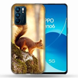 Coque Pour Oppo Reno 6 Animal Ecureuil Bois