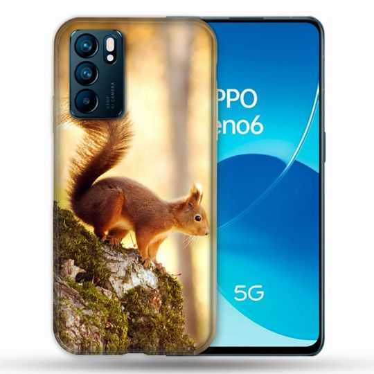 Coque Pour Oppo Reno 6 Animal Ecureuil Bois
