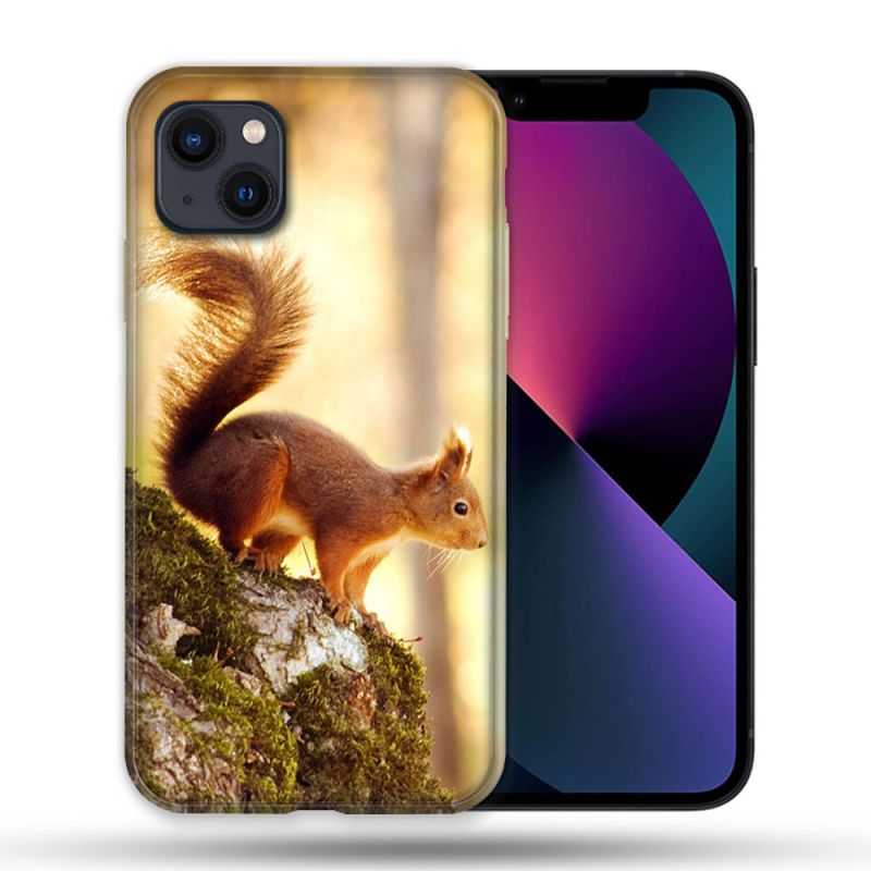 Coque Compatible MagSafe Pour Iphone 14 Pro Max (6.7) Animal Ecureuil Bois