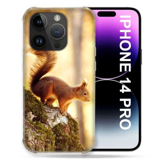 Coque Pour Iphone 14 Pro (6.1) Animal Ecureuil Bois