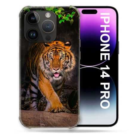 Coque Compatible MagSafe Pour Iphone 14 Pro (6.1) Animal Tigre Jungle