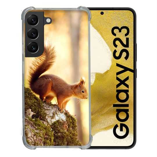 Coque Renforcée En Verre Trempé Pour Samsung Galaxy S23 Animal Ecureuil Bois
