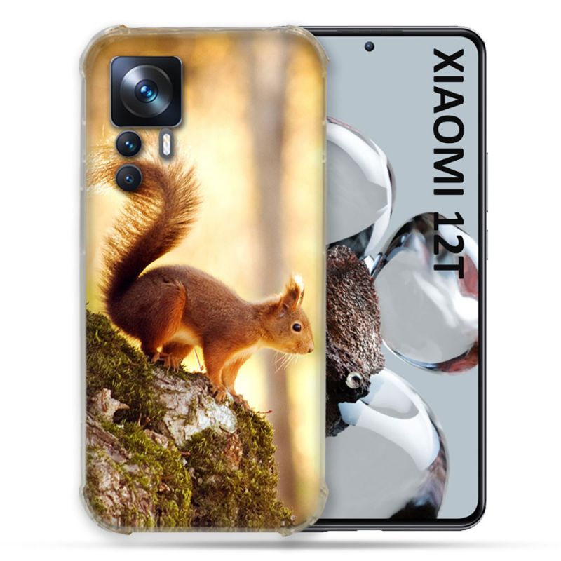 Coque Renforcée En Verre Trempé Pour Xiaomi 12T Animal Ecureuil Bois