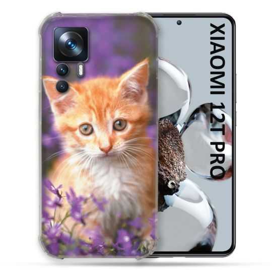 Coque Renforcée Pour Xiaomi 12T Pro Animal Chat Violet