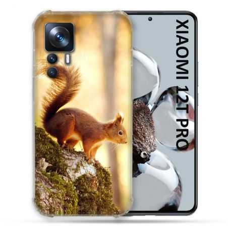 Coque Renforcée Pour Xiaomi 12T Pro Animal Ecureuil Bois