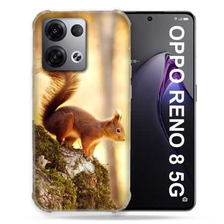 Coque Renforcée Pour Oppo Reno 8 5G Animal Ecureuil Bois
