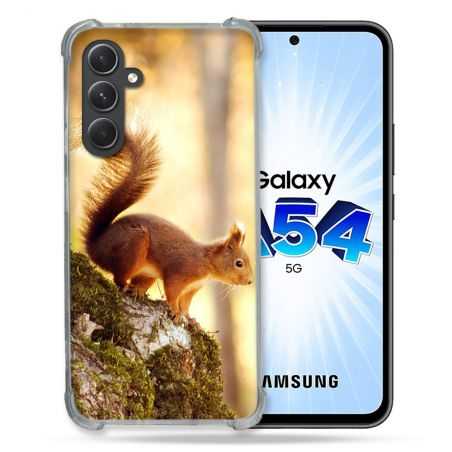 Coque Renforcée En Verre Trempé Pour Samsung Galaxy A54 5G Animal Ecureuil Bois