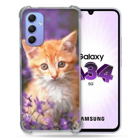 Coque Renforcée En Verre Trempé Pour Samsung Galaxy A34 5G Animal Chat Violet