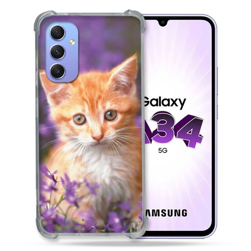 Coque Renforcée En Verre Trempé Pour Samsung Galaxy A34 5G Animal Chat Violet
