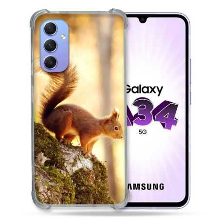 Coque Renforcée En Verre Trempé Pour Samsung Galaxy A34 5G Animal Ecureuil Bois