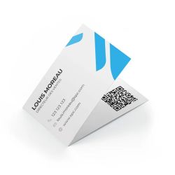 Carte De Visite Cryogen 300g/m2