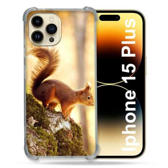 Coque Renforcée En Verre Trempé Pour Iphone 15 Plus (6.7) Animal Ecureuil Bois