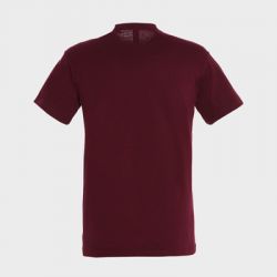 Tee-shirt personnalisé Régent Unisexe