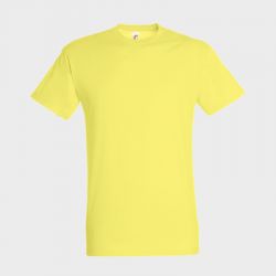 Tee-shirt personnalisé Régent Unisexe