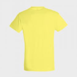 Tee-shirt personnalisé Régent Unisexe