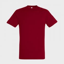 Tee-shirt personnalisé Régent Unisexe