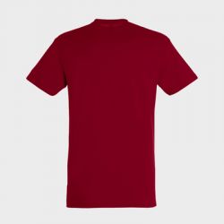 Tee-shirt personnalisé Régent Unisexe