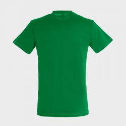 Tee-shirt personnalisé Régent Unisexe