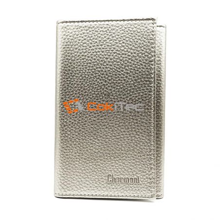 Porte-Papiers Pochette Carte Grise en Cuir argenté