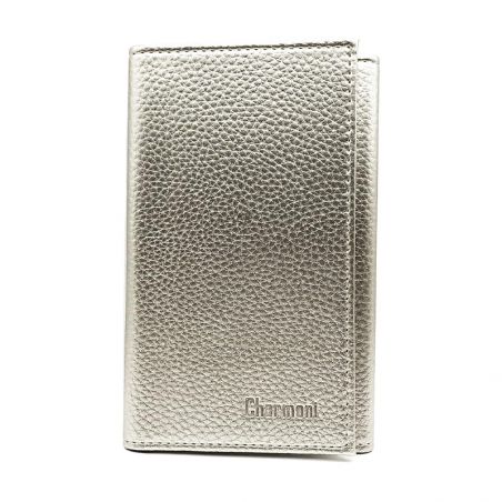 Porte-Papiers Pochette Carte Grise en Cuir argenté