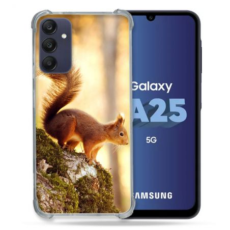Coque Renforcée En Verre Trempé PourSamsung Galaxy A25 5G Animal Ecureuil Bois