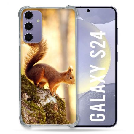 Coque Renforcée En Verre Trempé Compatible Magsafe Pour Samsung Galaxy S24 Animal Ecureuil Bois