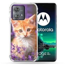 Coque Renforcée Pour Motorola Edge 40 Neo Animal Chat Violet