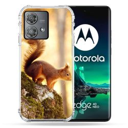Coque Renforcée Pour Motorola Edge 40 Neo Animal Ecureuil Bois