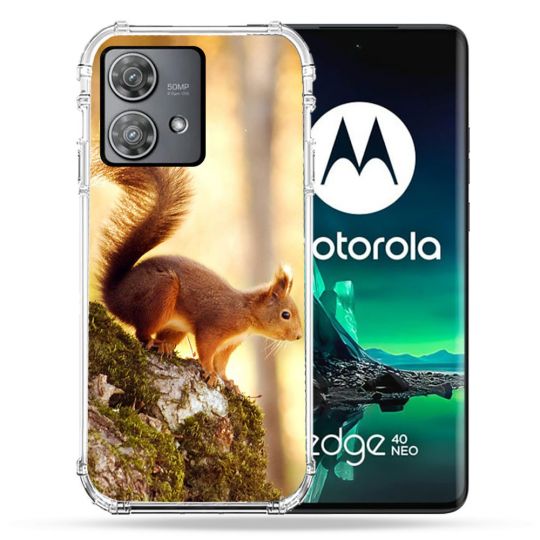 Coque Renforcée Pour Motorola Edge 40 Neo Animal Ecureuil Bois