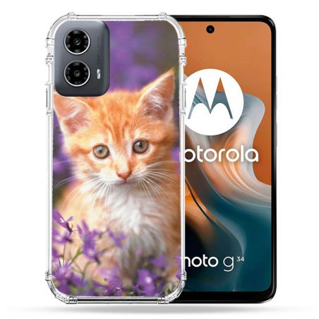 Coque Renforcée Pour Motorola G34 5G Animal Chat Violet