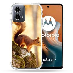 Coque Renforcée Pour Motorola G34 5G Animal Ecureuil Bois