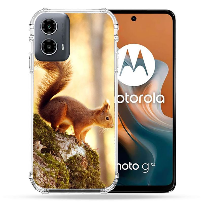 Coque Renforcée Pour Motorola G34 5G Animal Ecureuil Bois