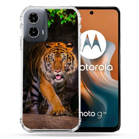 Coque Renforcée Pour Motorola G34 5G Animal Tigre Jungle