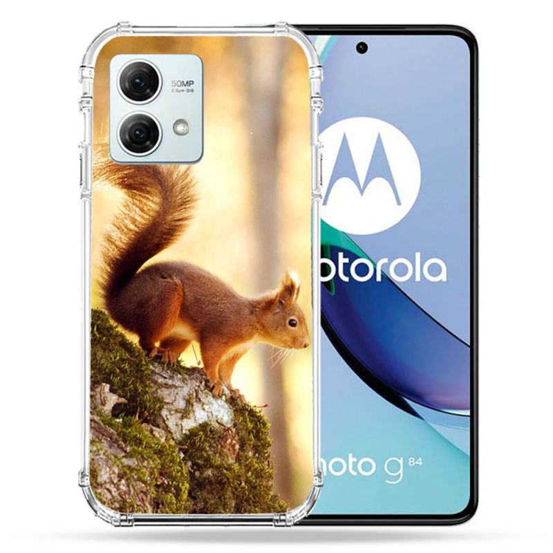 Coque Renforcée Pour Motorola G84 5G Animal Ecureuil Bois
